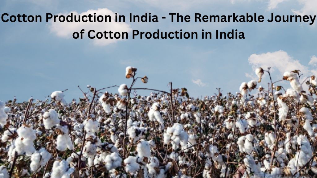 Cotton Production in India - The Remarkable Journey of Cotton Production in India